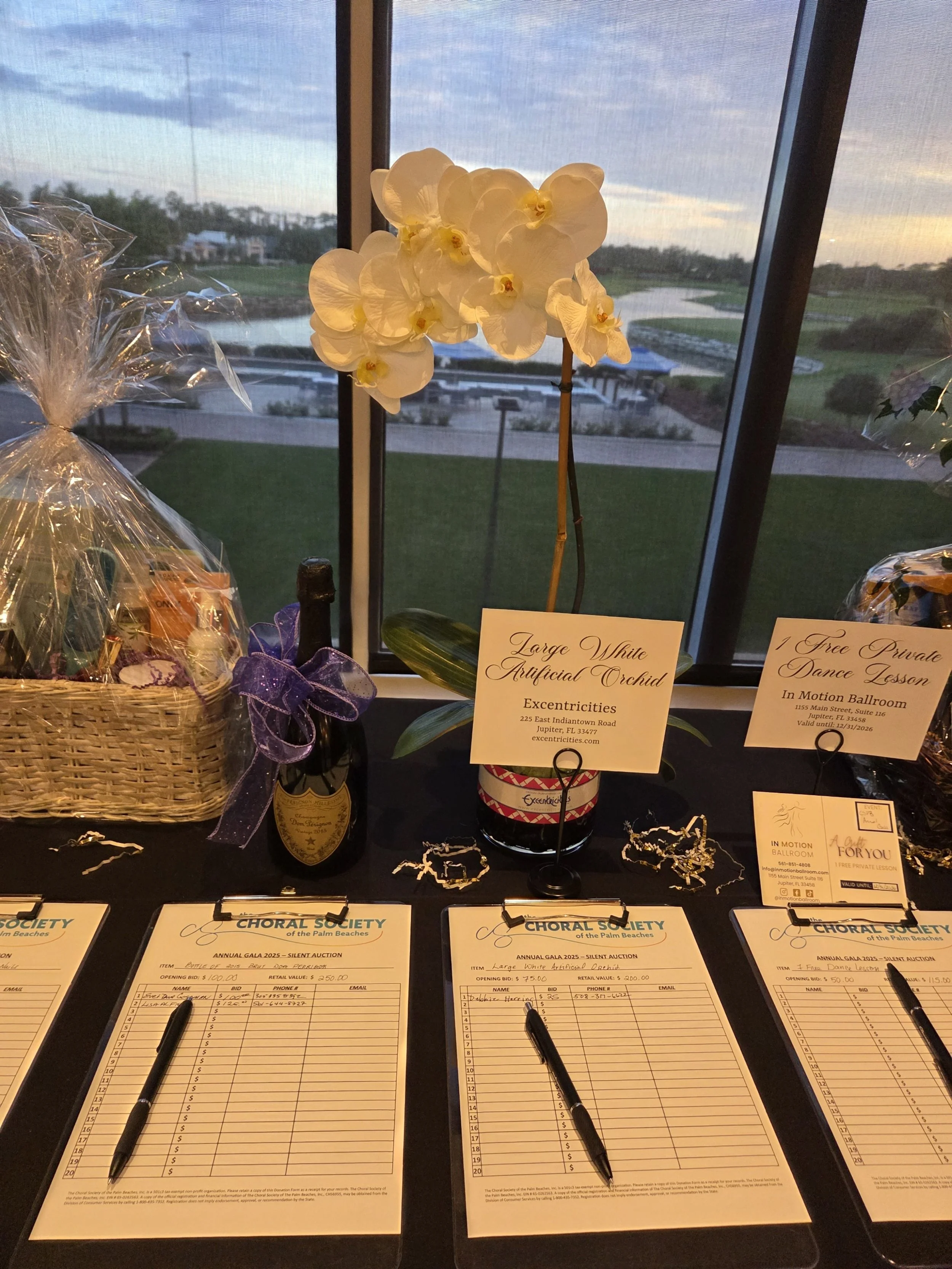 Silent Auction Items #12