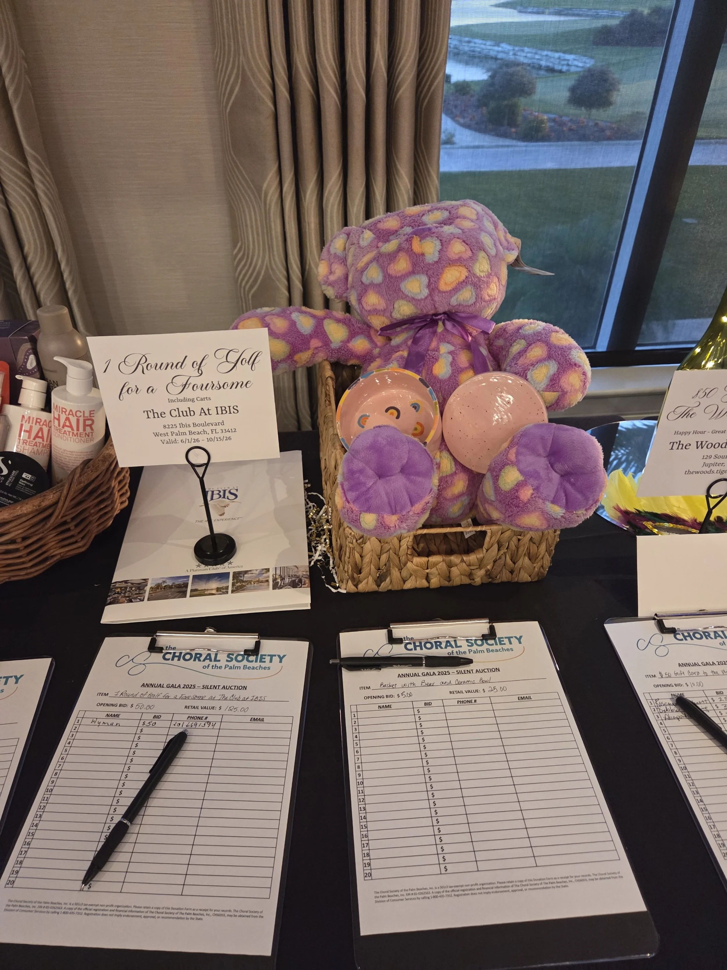Silent Auction Items #4