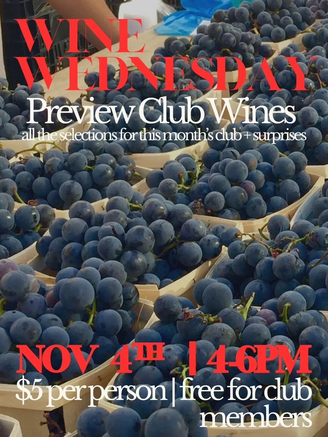 11/4 Wine Wednesday: Club Preview