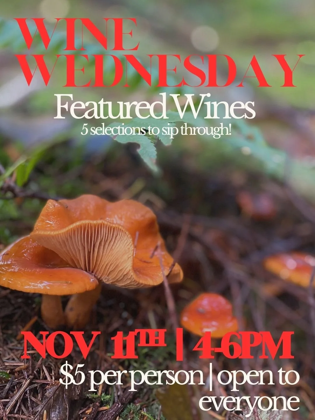 11/11 Wine Wednesday: Featured Wines