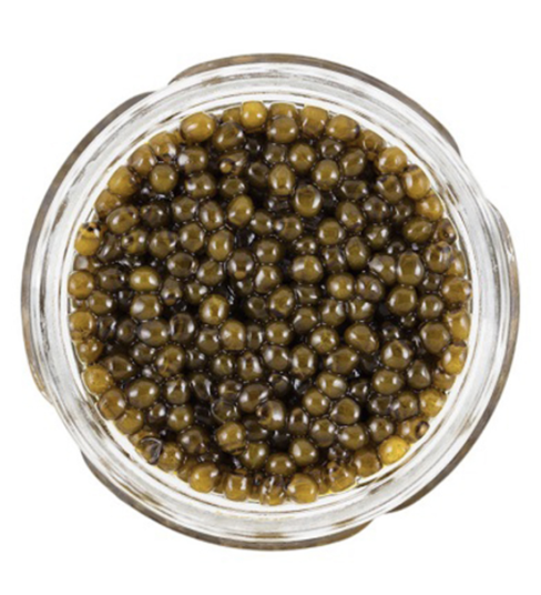 Screenshot 2025-12-15 at 11.42.49 AM.png