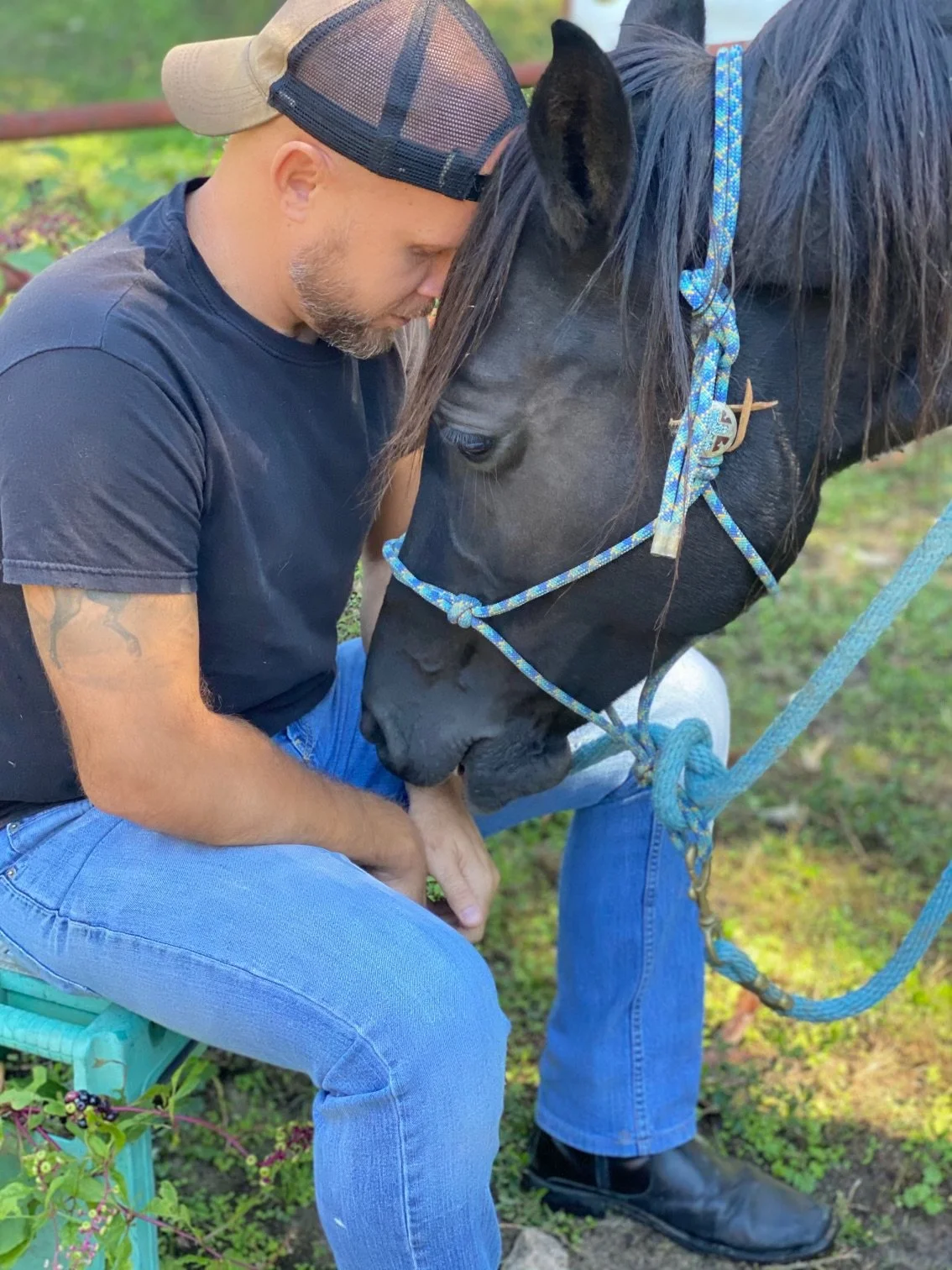 A man sitting on a small bench, gently touching and interacting with a black horse, outdoors with green grass and plants in the background.