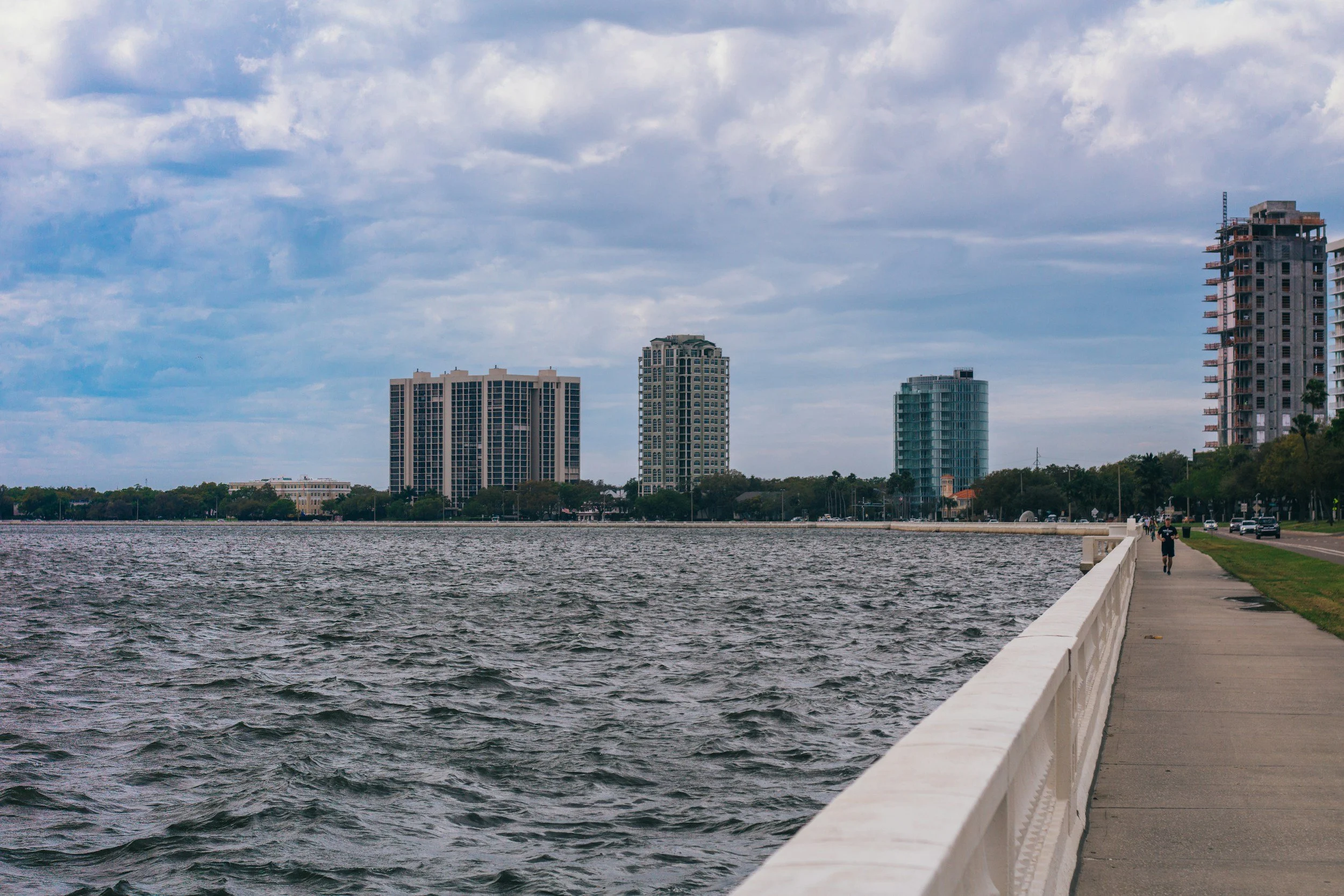 The Pros and Cons of Living in South Tampa Neighborhoods