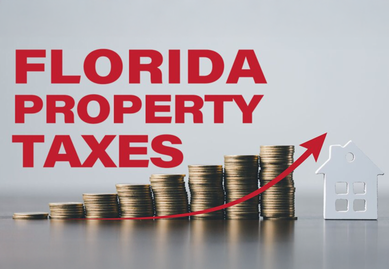 Understanding Tampa Property Taxes and How to Save Money