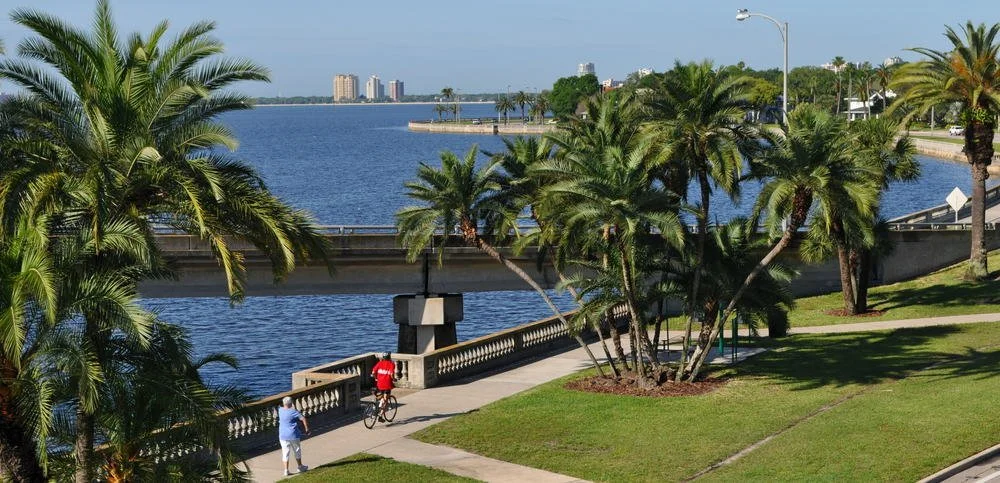 The Ultimate Guide to Living in South Tampa Neighborhoods