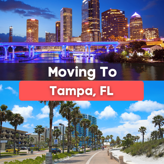 Moving to Tampa? Here’s What You Need to Know 🌴🏡☀️