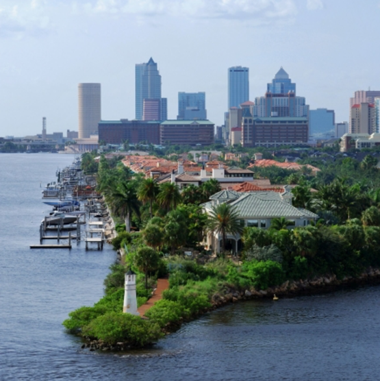 🛋️ How to Stage Your Home to Sell Fast in South Tampa