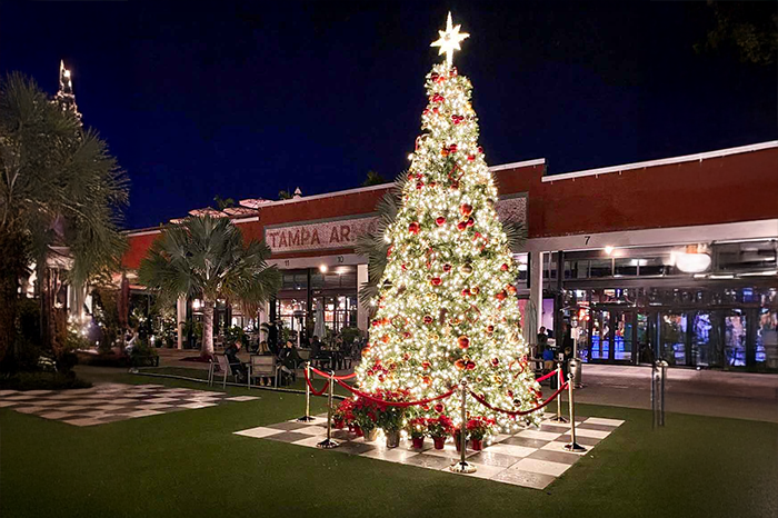🎄 Tampa’s Top Holiday Events and Festivals