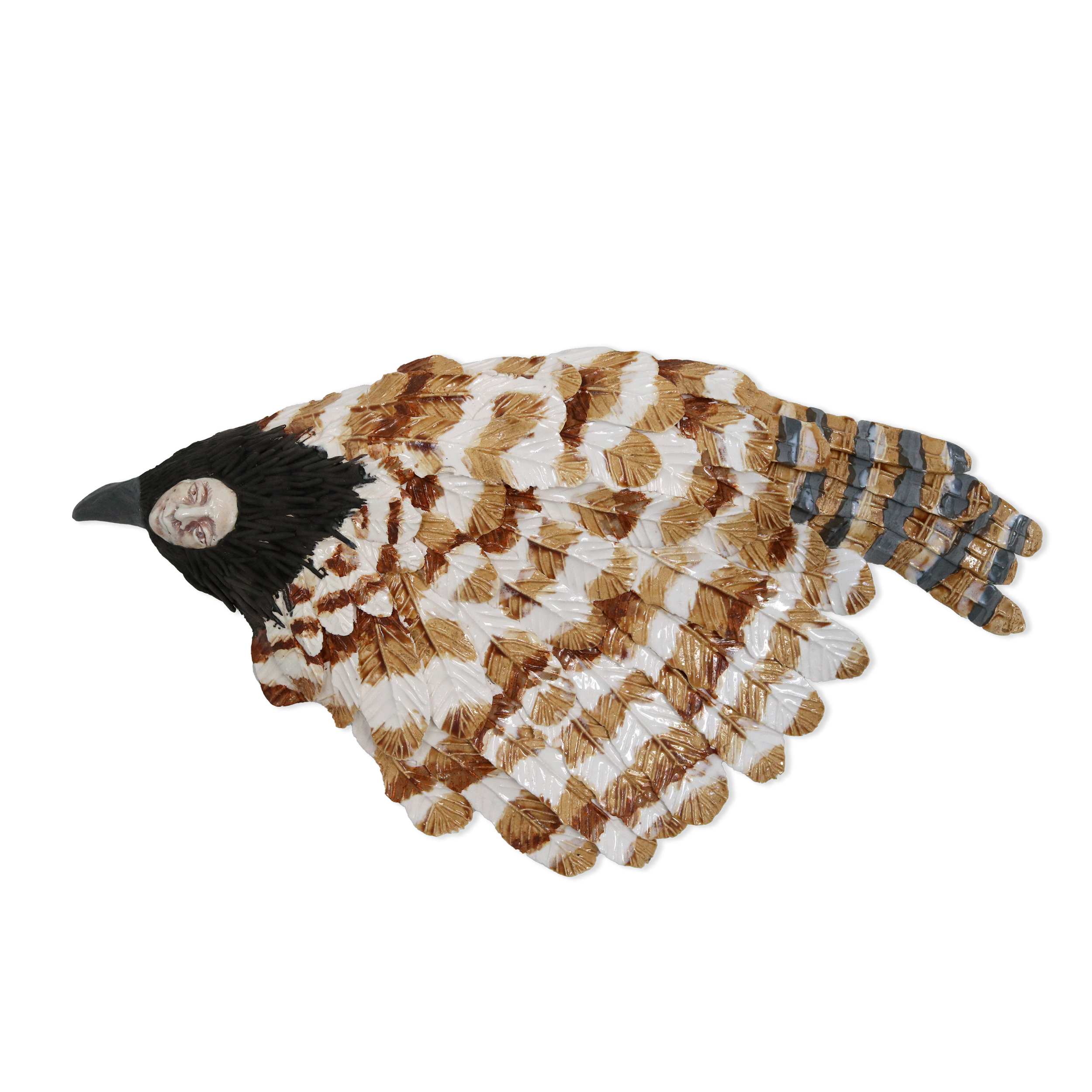 Coucal Pheasant I by Michelle Spencer