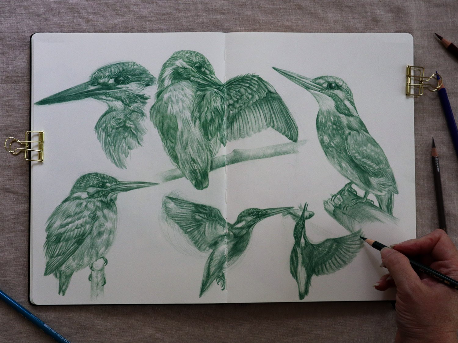 Australian Artist Natalie Eslick sketchbook -5721.jpg