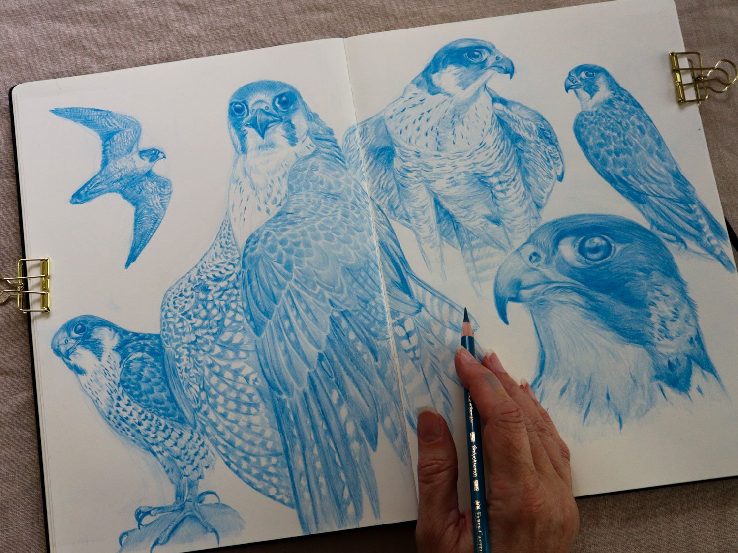 Australian Artist Natalie Eslick sketchbook -5707.jpg