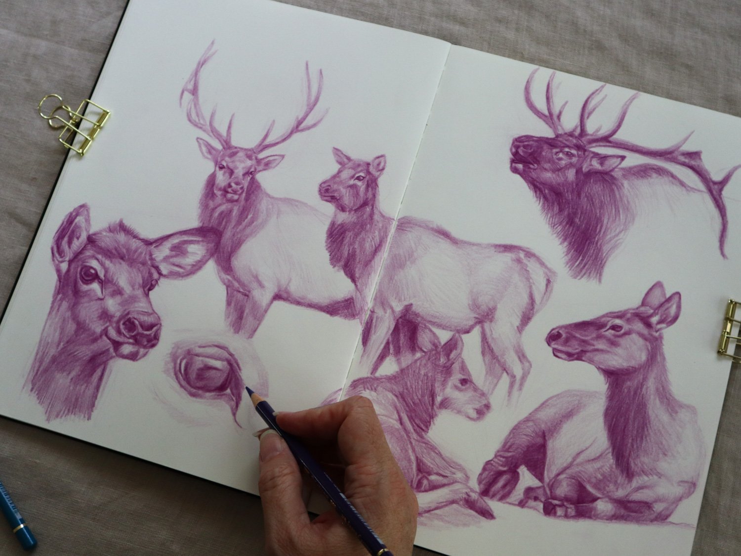 Australian Artist Natalie Eslick sketchbook -5731.jpg