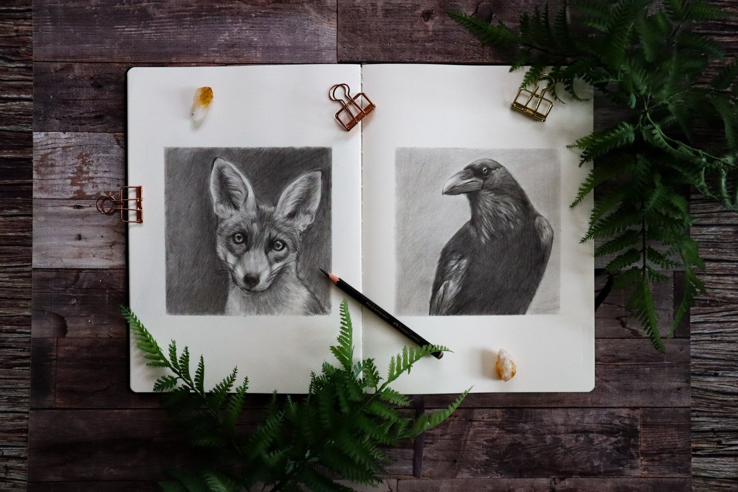 Australian Artist Natalie Eslick wild sketchbook-7031.jpg