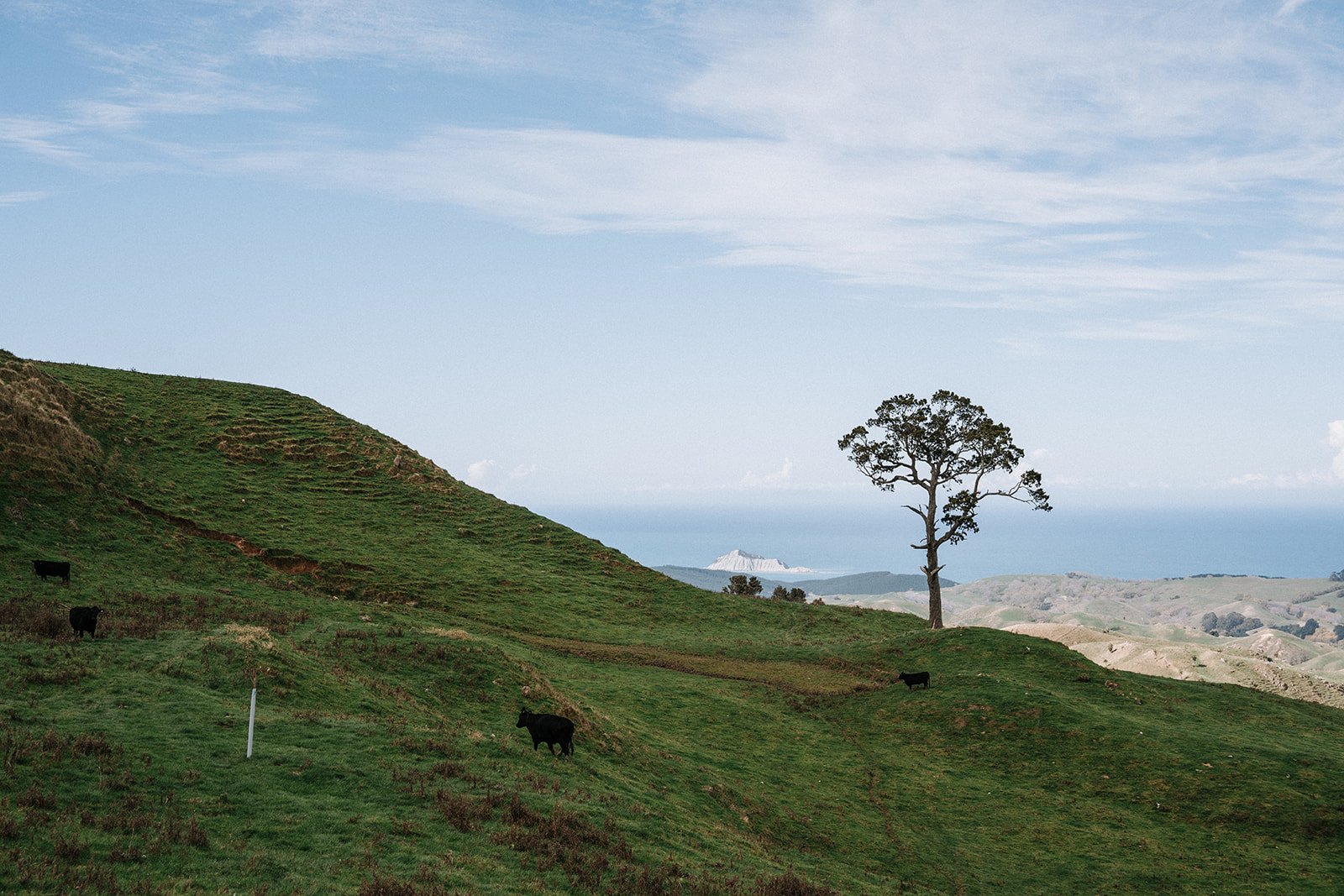 Te Aratipi - 126.jpg