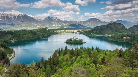 Rewilding: Letting Nature Heal Itself