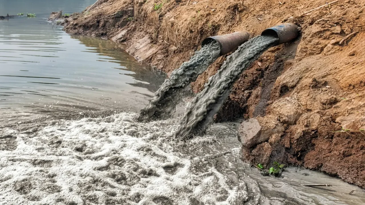 Water Pollution &amp; Scarcity: Why Clean Water Is the Planet’s Most Precious Resource