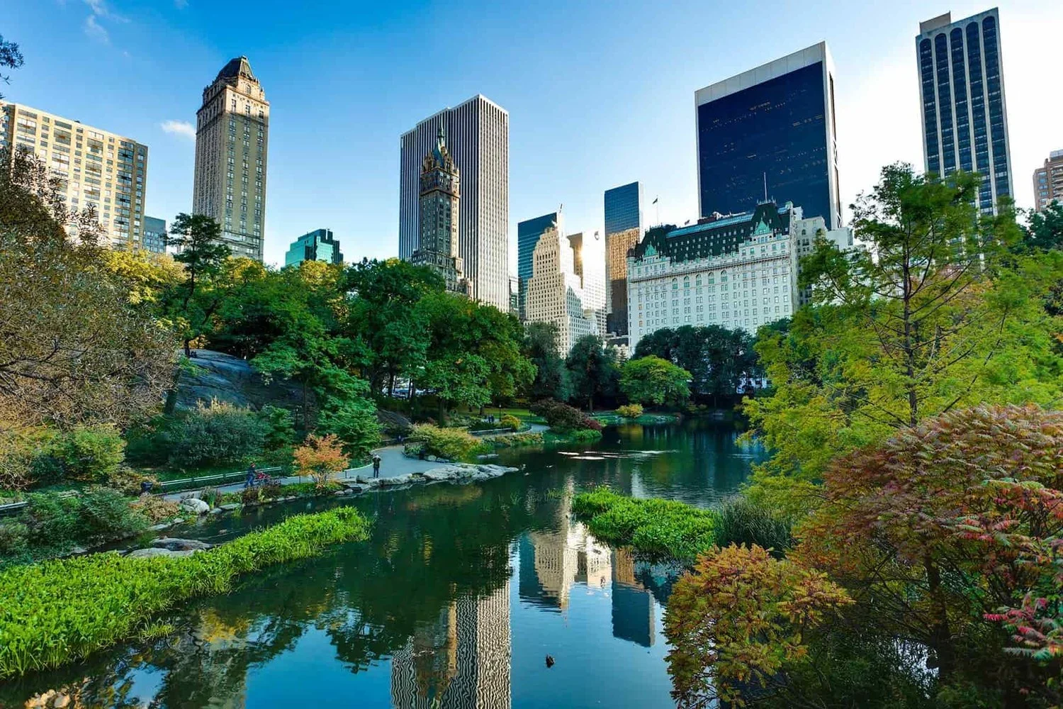 Urban Ecology &amp; Green Cities: How to Make Cities Biodiversity-Friendly