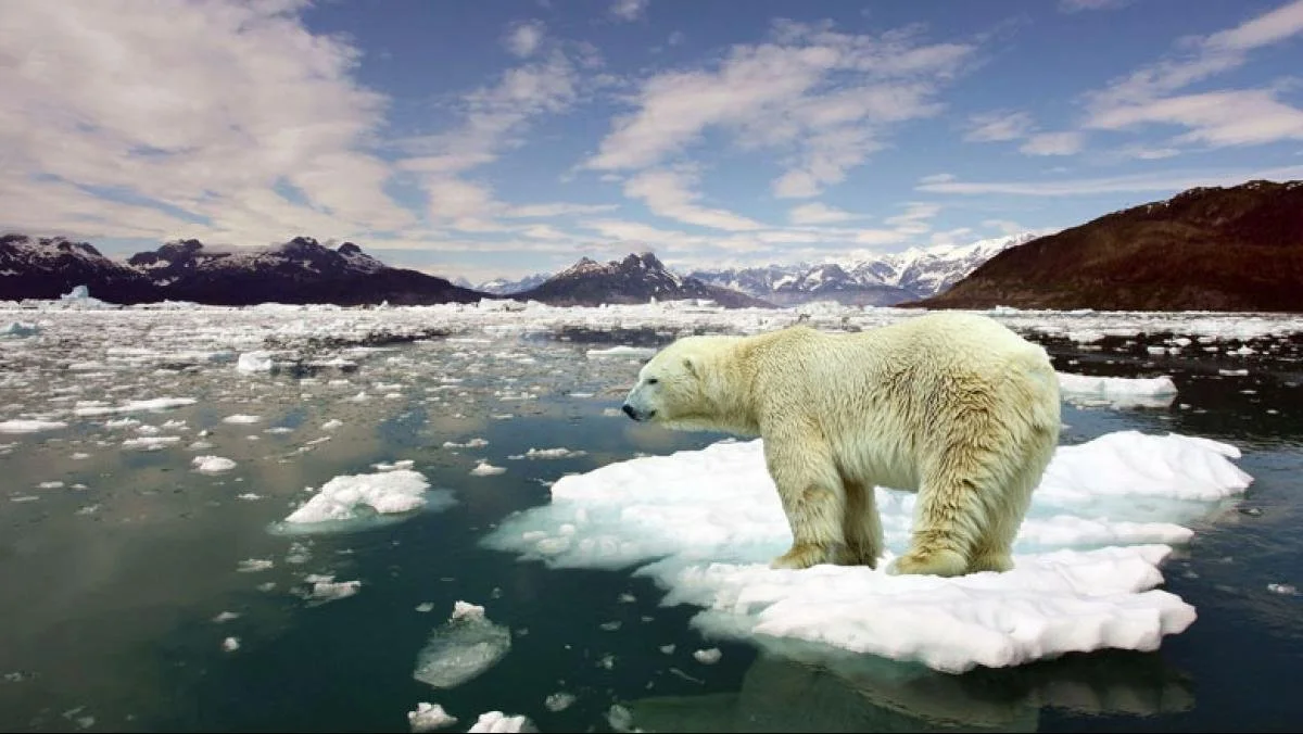 Climate Change &amp; Everyday Life: What Global Warming Means for You — And What You Can Do
