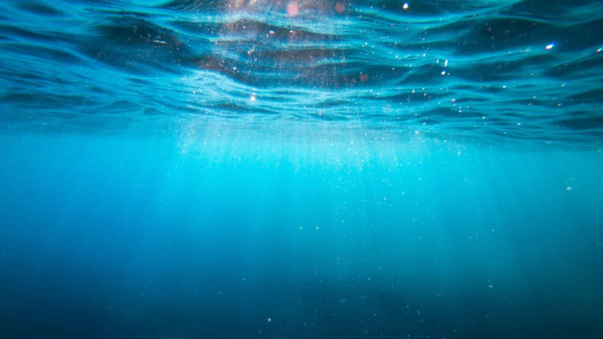 Ocean Conservation &amp; Overfishing: Saving Our Seas Before It’s Too Late
