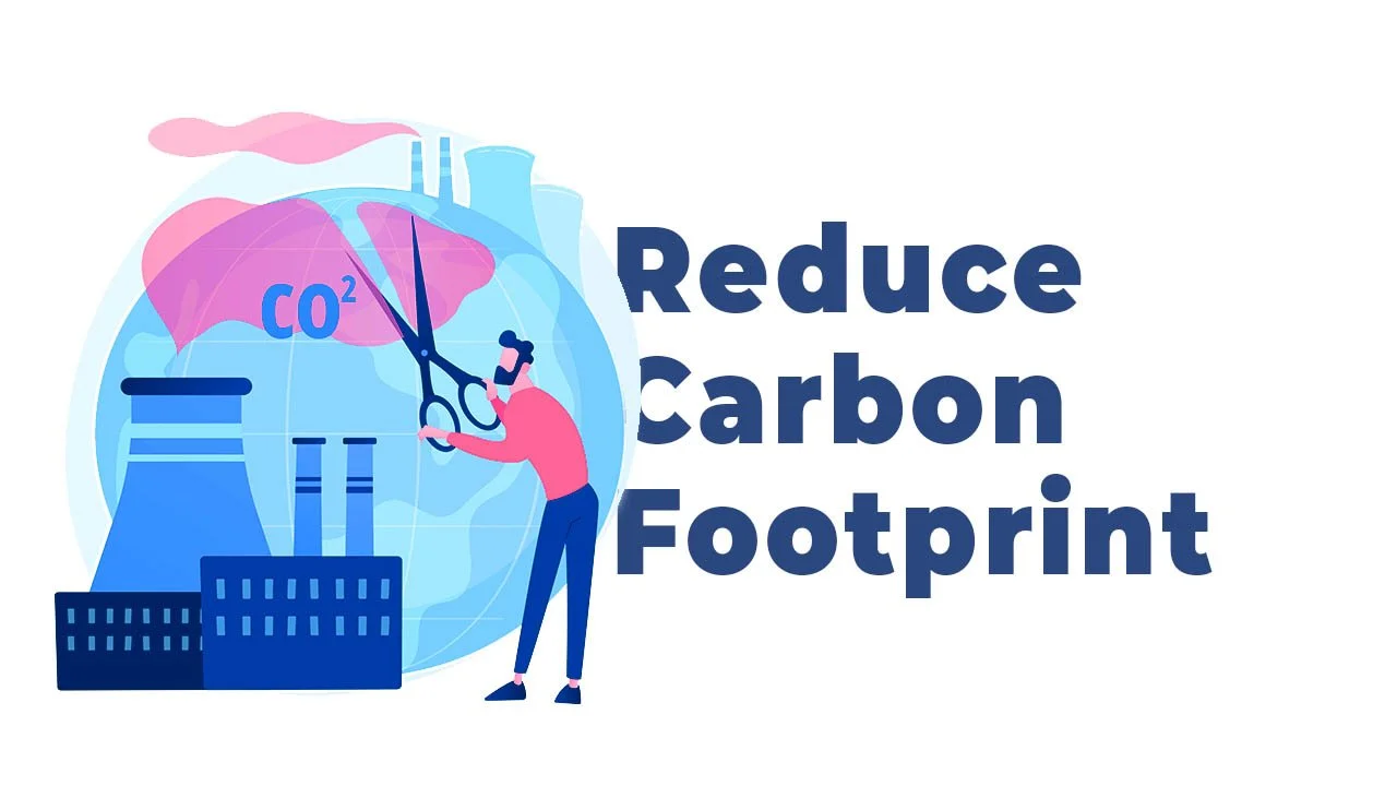 Green Business &amp; Sustainable Practices: How Companies Can Reduce Their Environmental Footprint