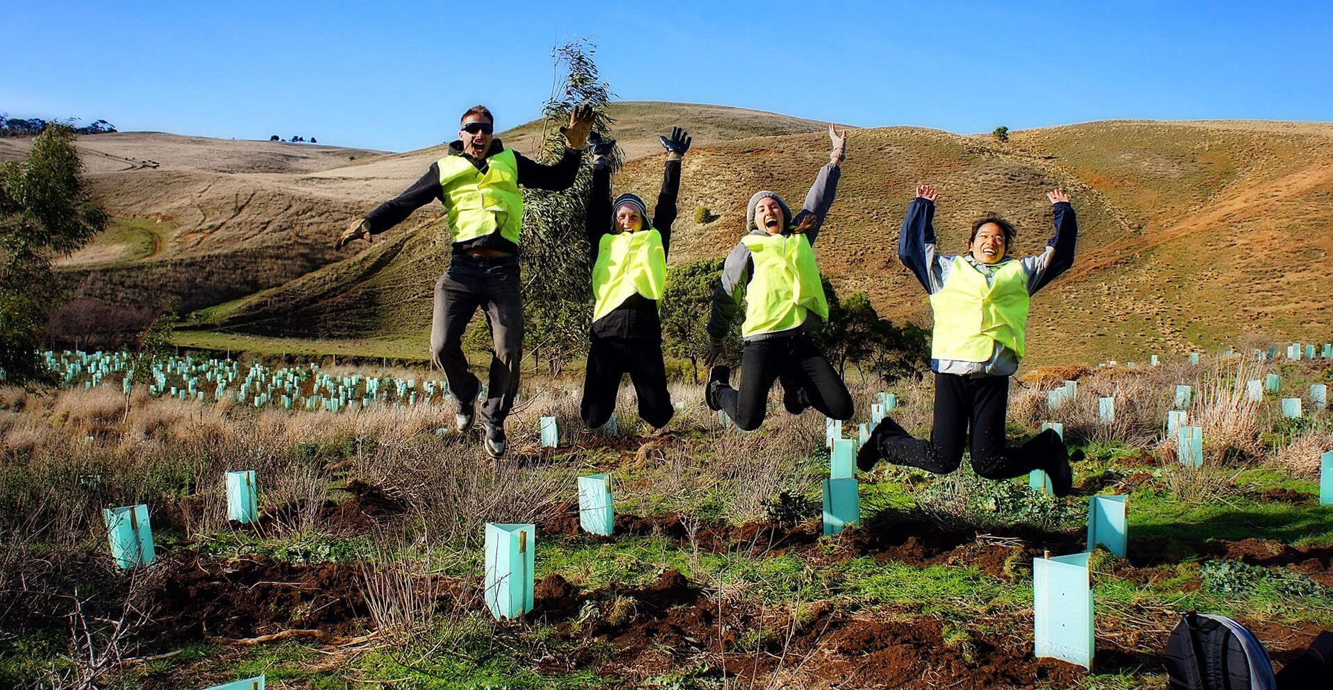 Community Action: How Local Groups Can Drive Big Environmental Change