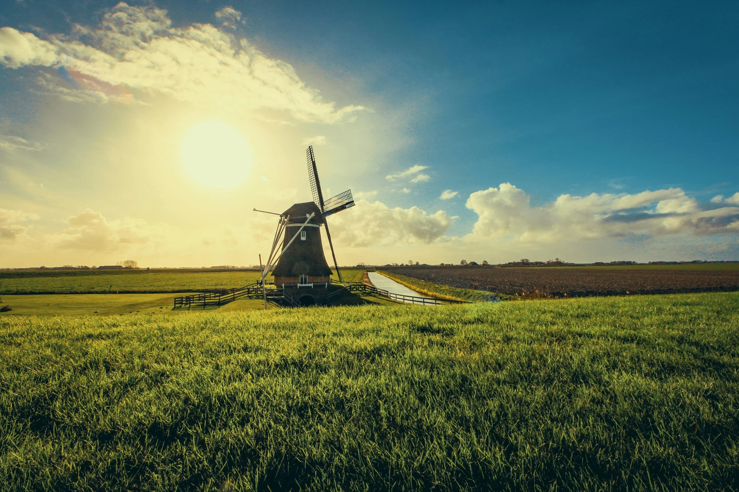 Green Technology: How Clean Tech Is Changing the Fight Against Climate Change