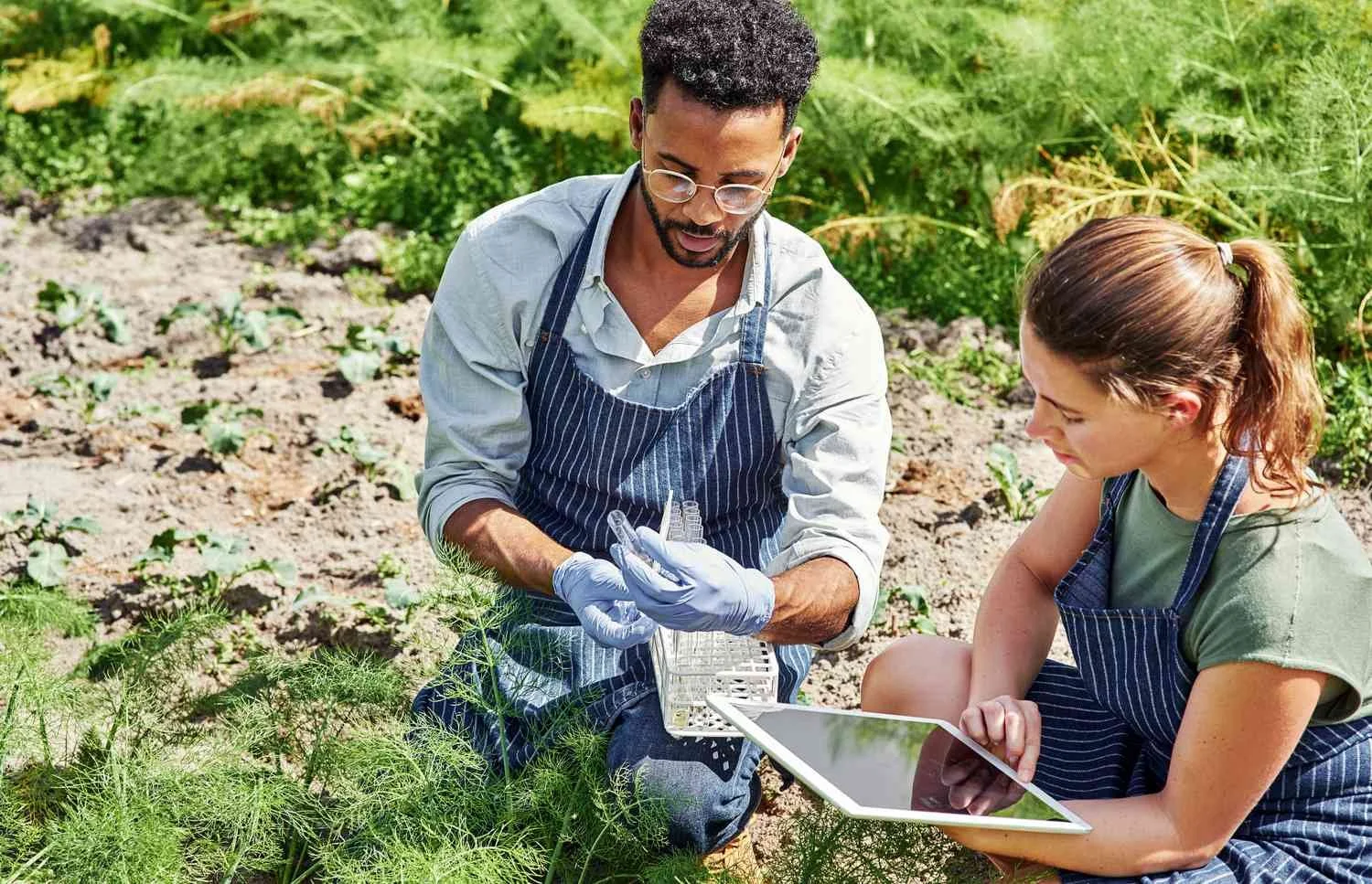 Green Jobs: How Sustainability Is Shaping the Future of Work