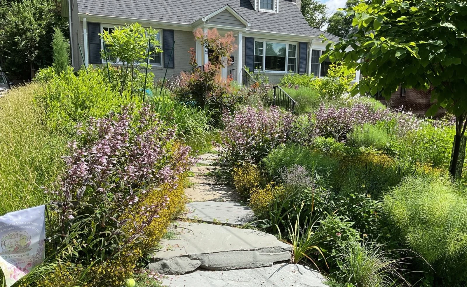 Seeds of Survival: How Saving Native Plants Protects Our Future