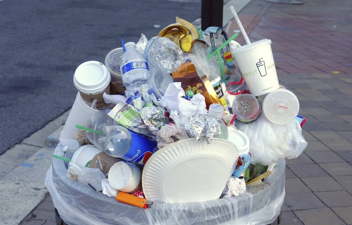 The Hidden Cost of Convenience: How Single-Use Culture Is Reshaping Our Planet