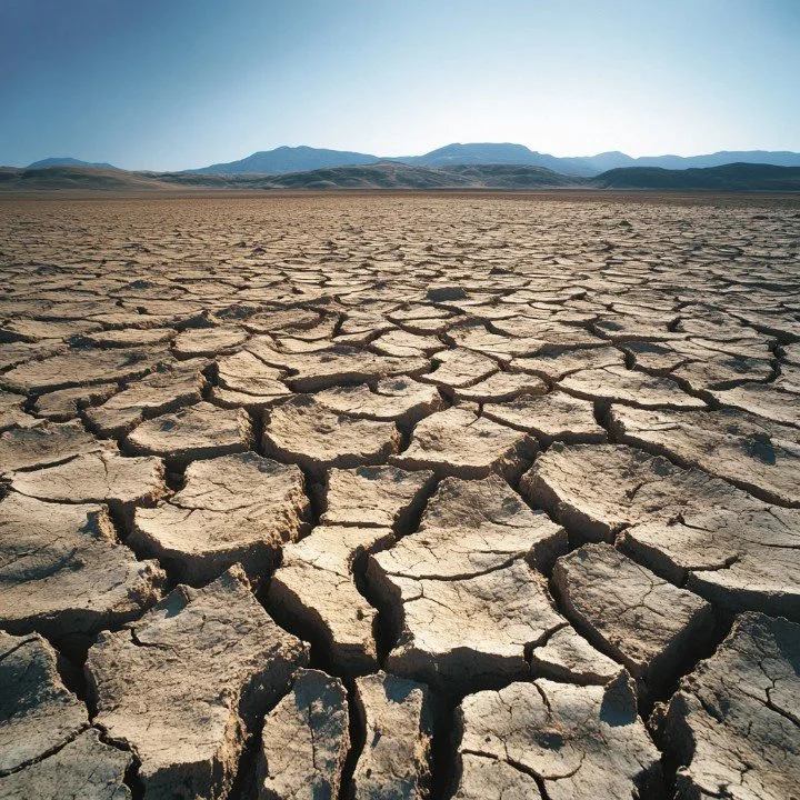 The Water We Waste: How Everyday Decisions Drain a Thirsty Planet