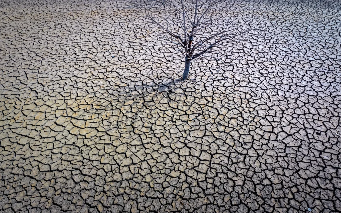 Running Dry: How Water Scarcity Is Becoming the World’s Most Urgent Crisis
