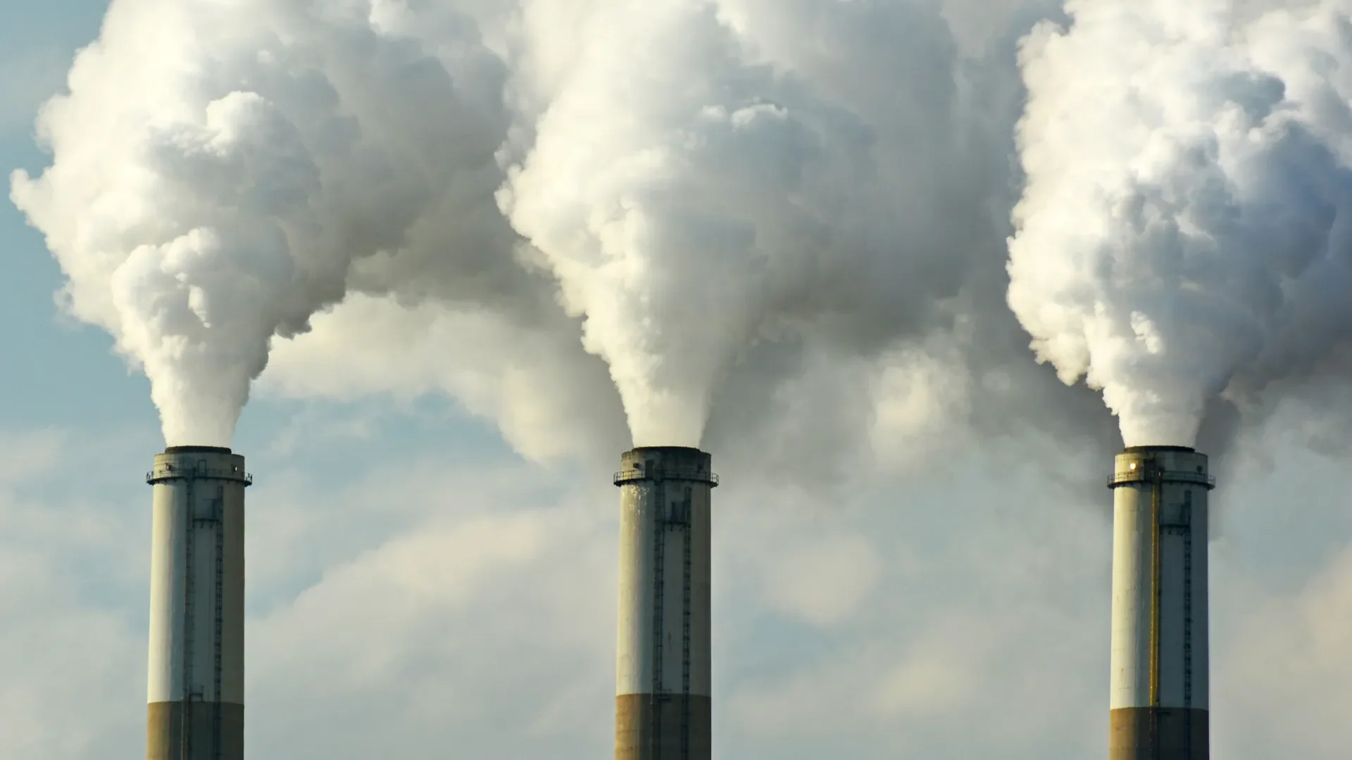 Youth Plaintiffs in Montana Won a Landmark Climate Lawsuit Against the State.