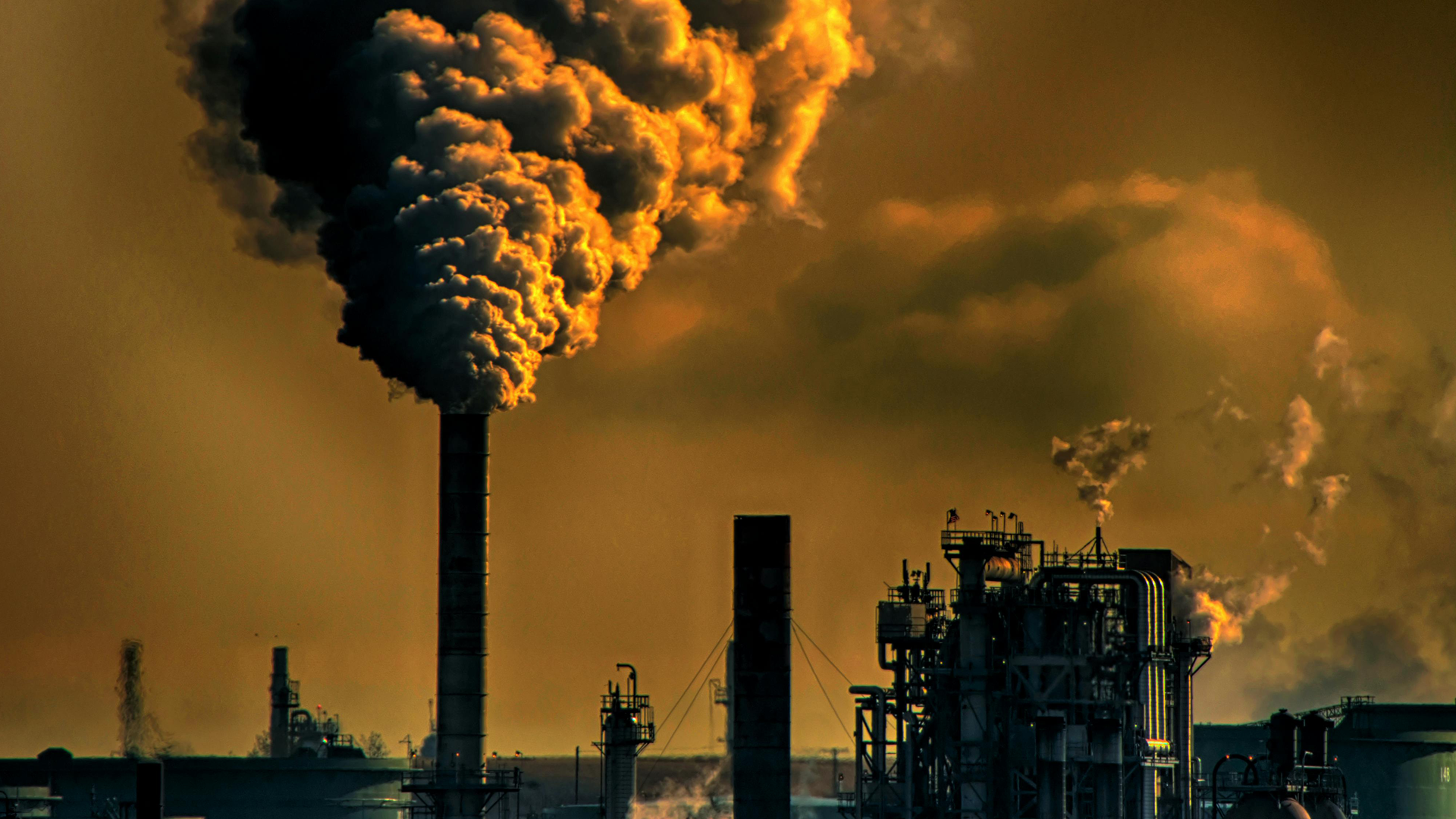 The EU Approved Stricter Air Pollution Limits