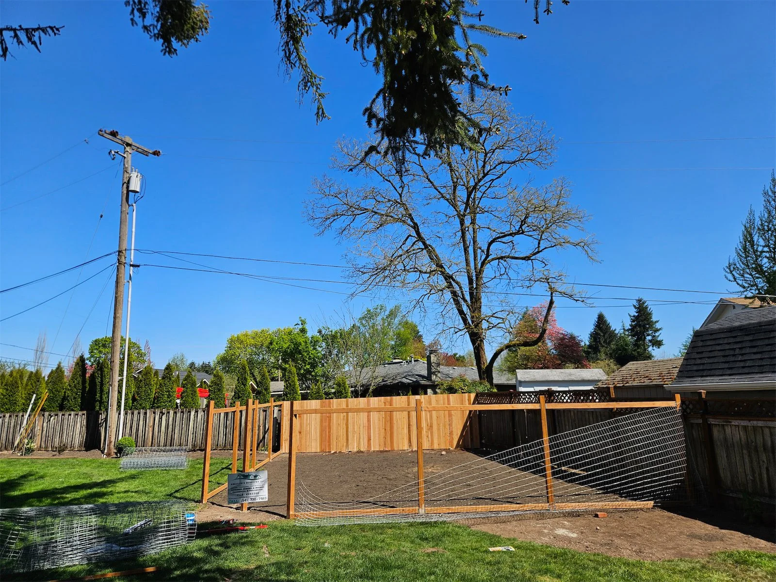 A backyard under construction with a wooden fence, a cleared plot of soil, and a clear blue sky. There is a large leafless tree and various other trees in the background, along with a utility pole on the left side.