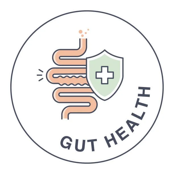 YOUR GUT &amp; YOUR GAME