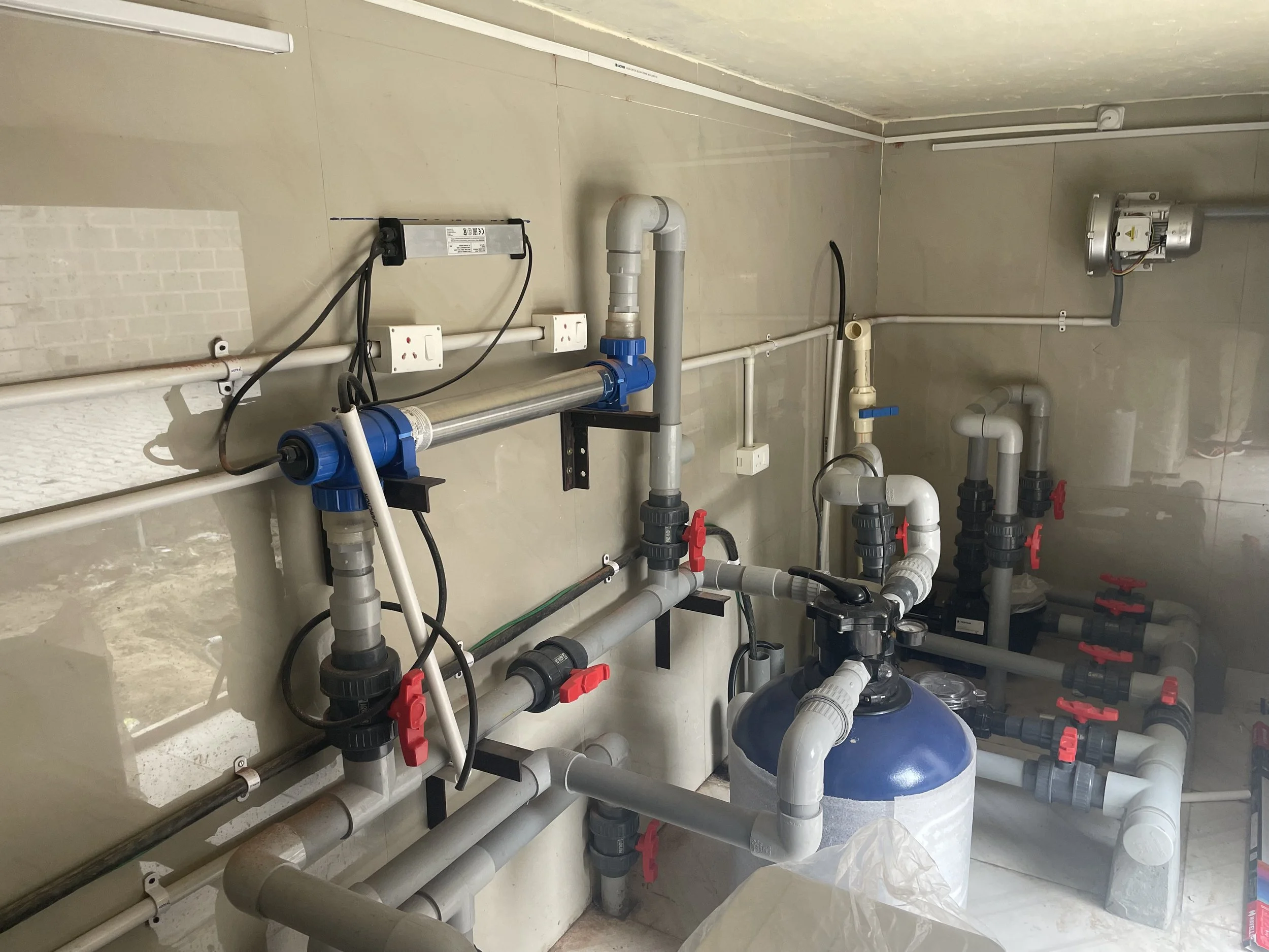 villa pool AAHANA.jpeg