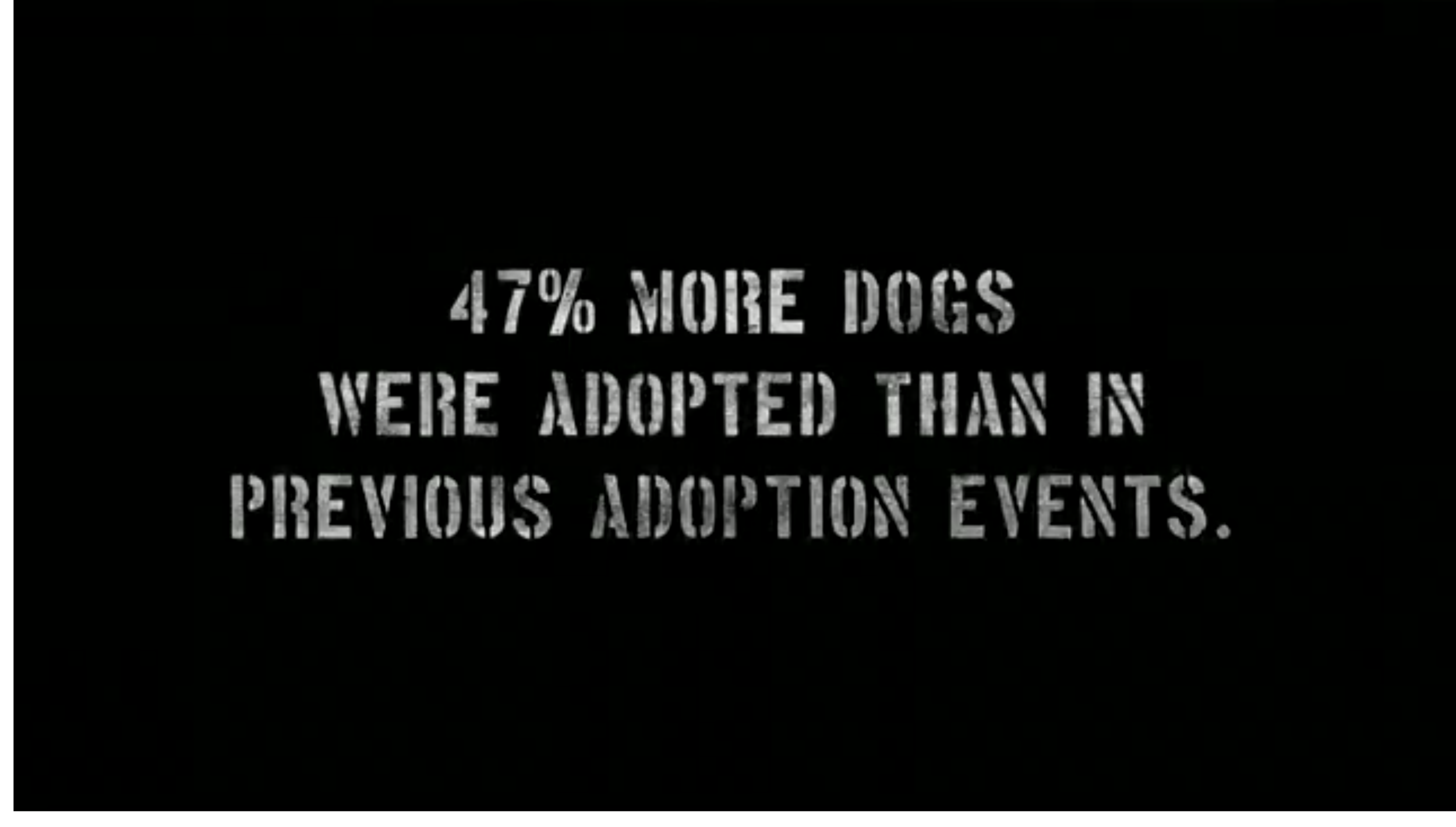 Screen Shot 2019-06-27 at 12.57.36.png