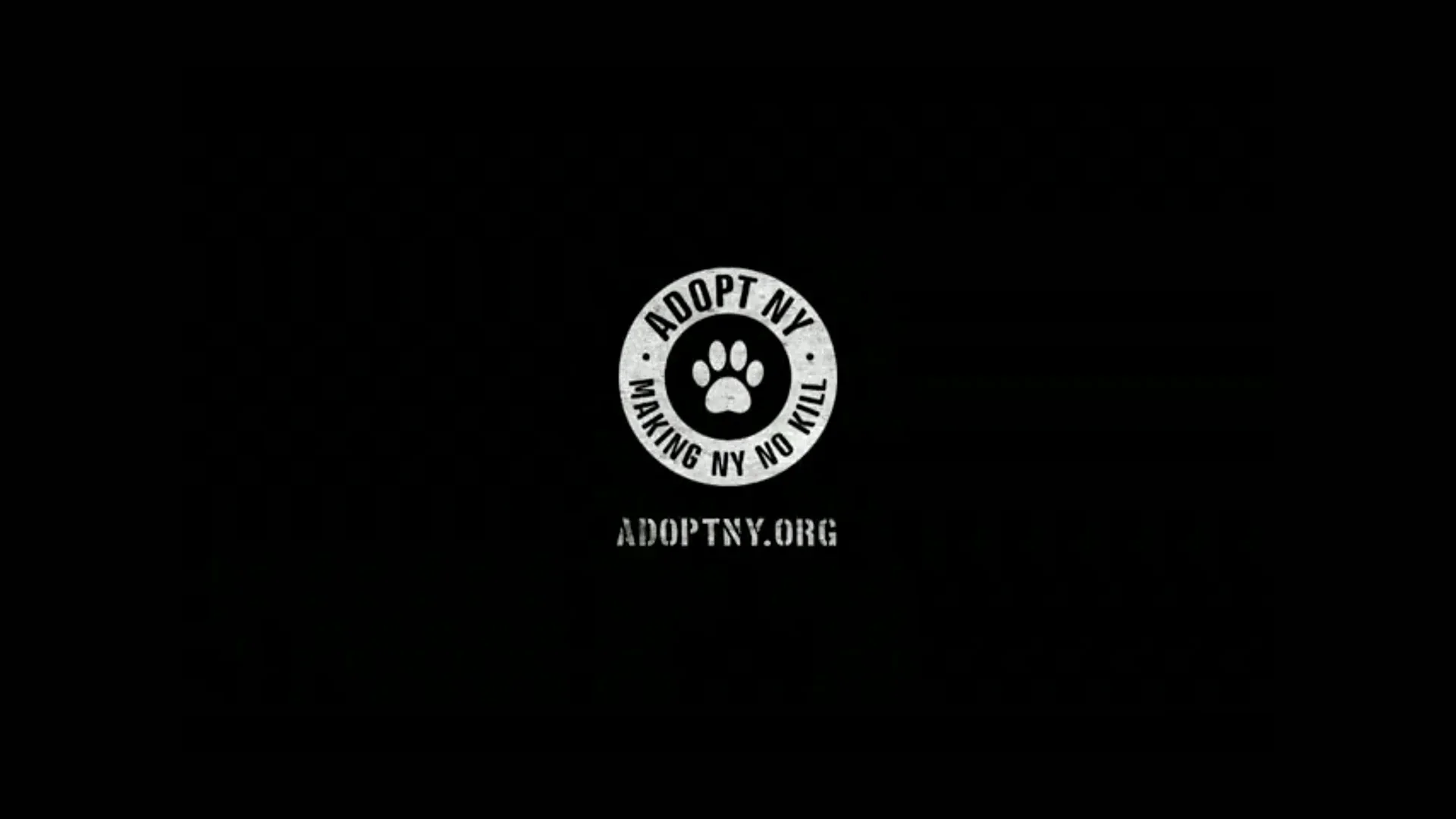 adoptny.webp