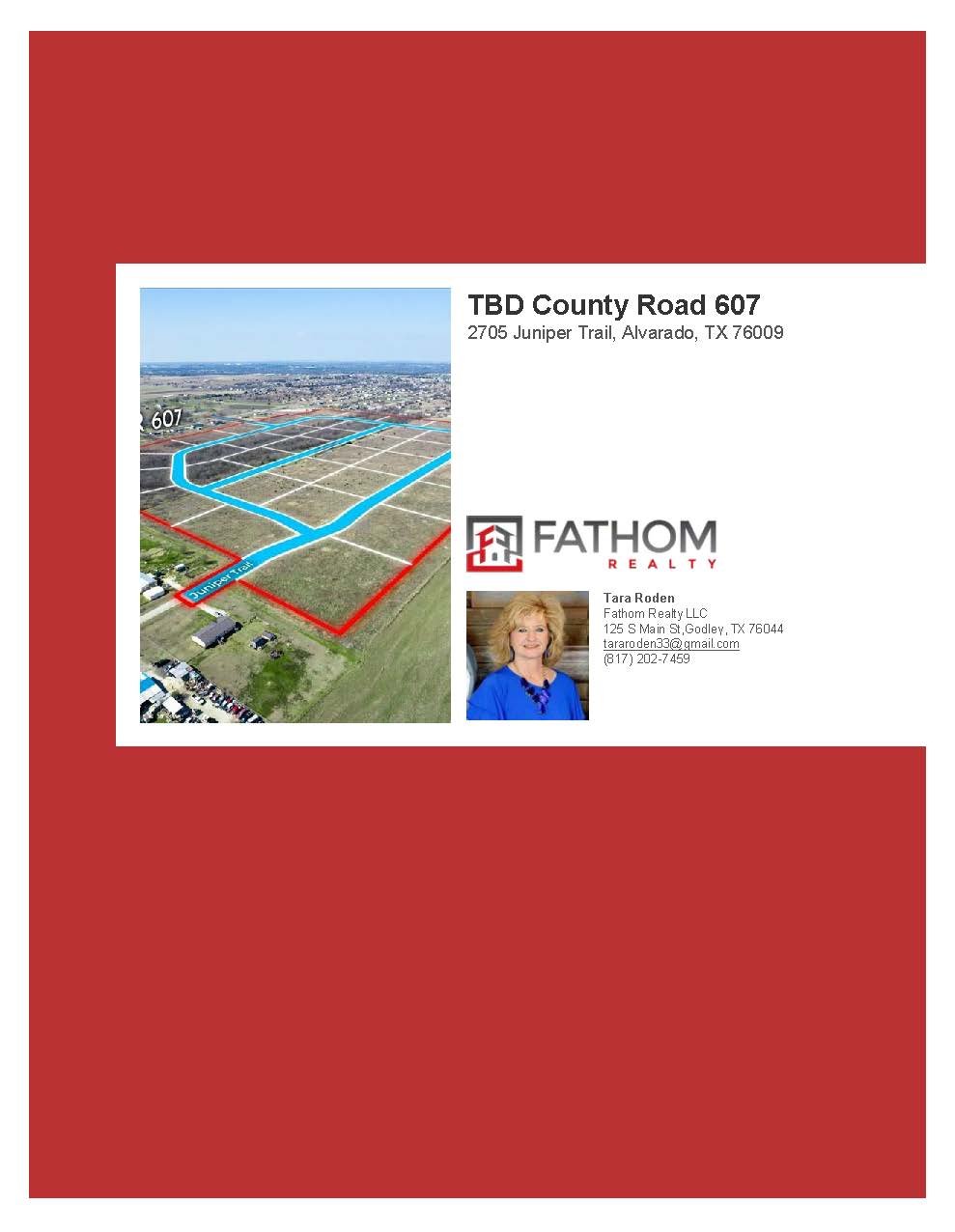 Professional Flyer_032025_Page_01.jpg