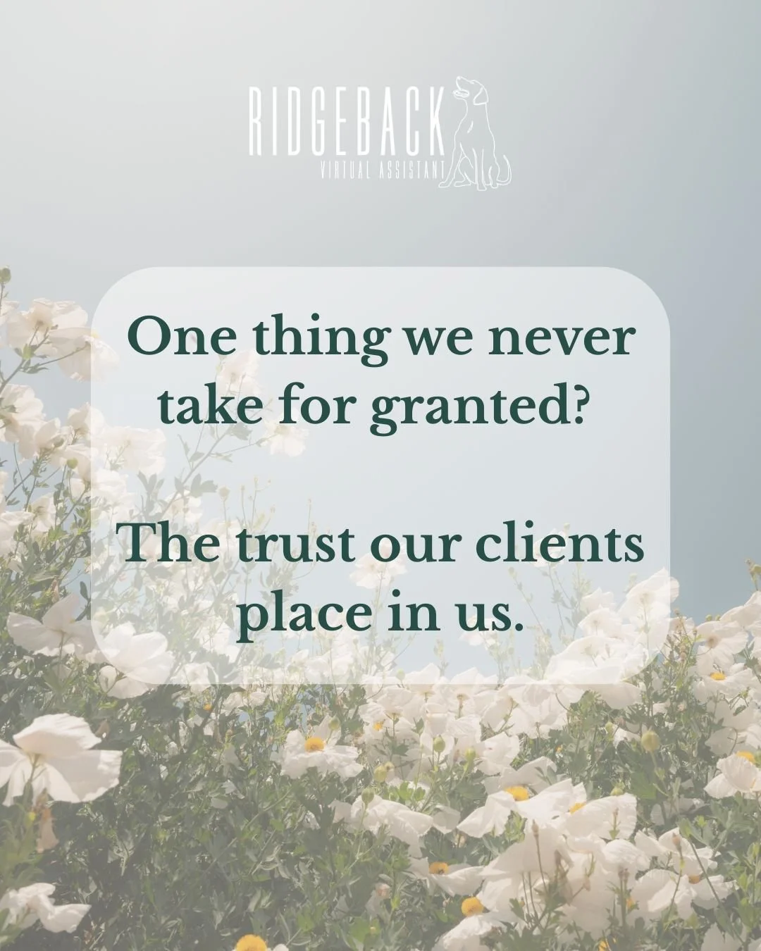 We don&rsquo;t take it lightly &mdash; being trusted to support someone&rsquo;s business (and their clients) is a privilege we&rsquo;re so grateful for. 💜
Whether it&rsquo;s client care, inbox zero, or compliance support &mdash; we&rsquo;re here to 