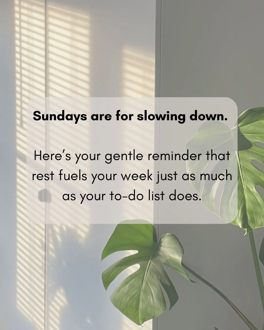 Everyone needs a Sunday R&amp;R 💚🌿🥝

#RidgebackVA #Halaxy #HalaxySupport #MedicalAdmin #VirtualAssistant