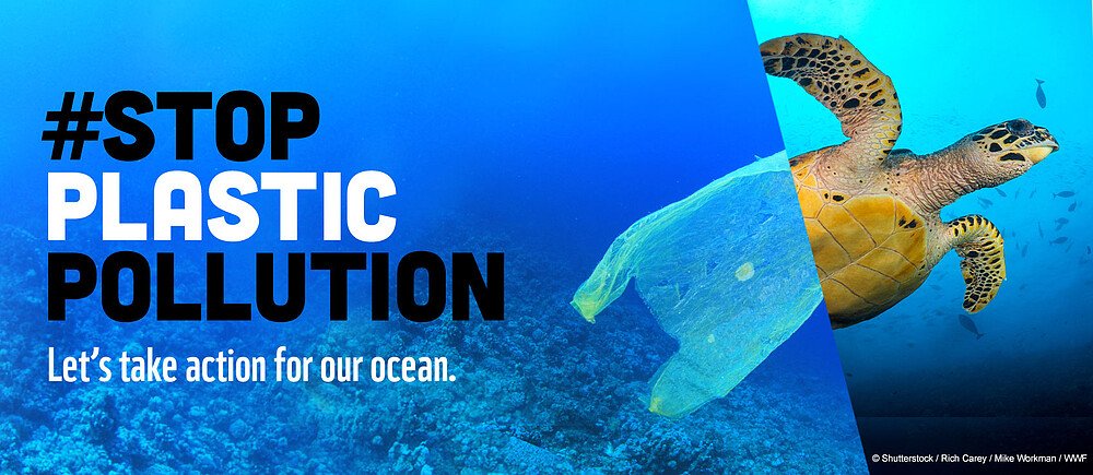 12 Easy Ways to Reduce Your Plastic Use Today