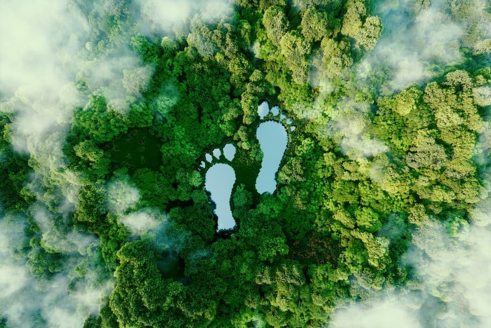 Travel Green: 12 Tips for Embracing Sustainable and Responsible Adventures