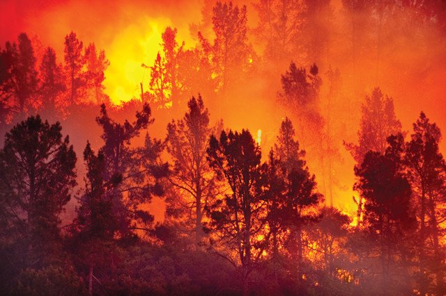 All I Hear is Doom and Gloom About Climate Change. What Gives?