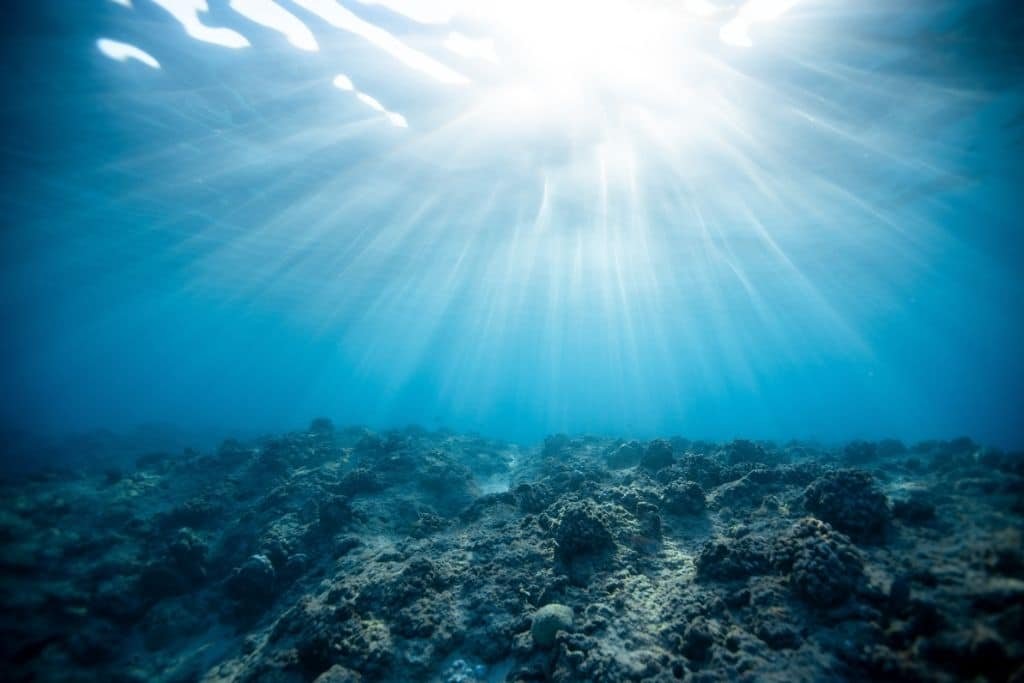 Drowning in Change: The Ocean's Battle Against Climate Disruption