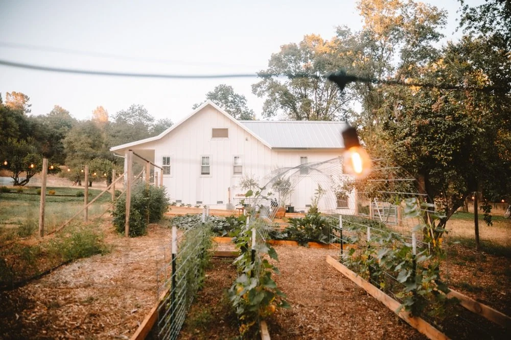 garden beds in a home yard