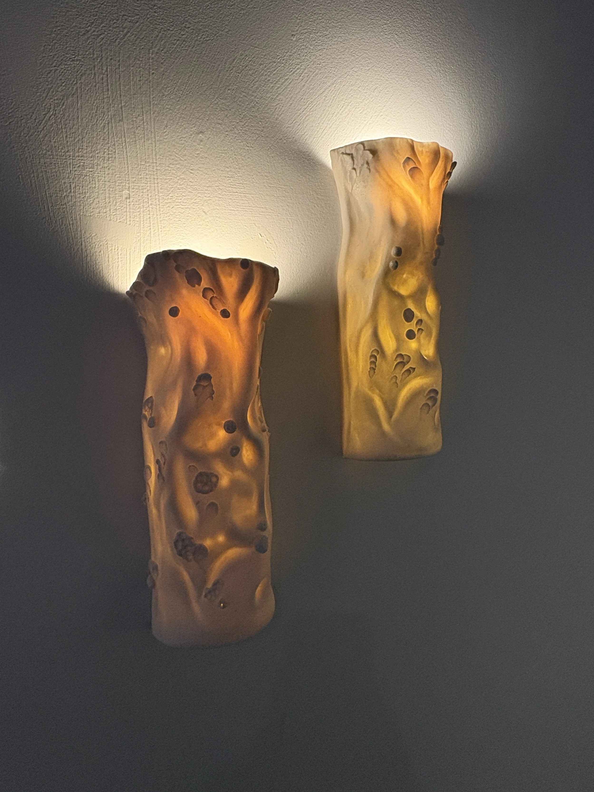 Two porcelain ceramic sconces