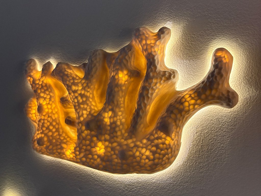 Coral Sconce
