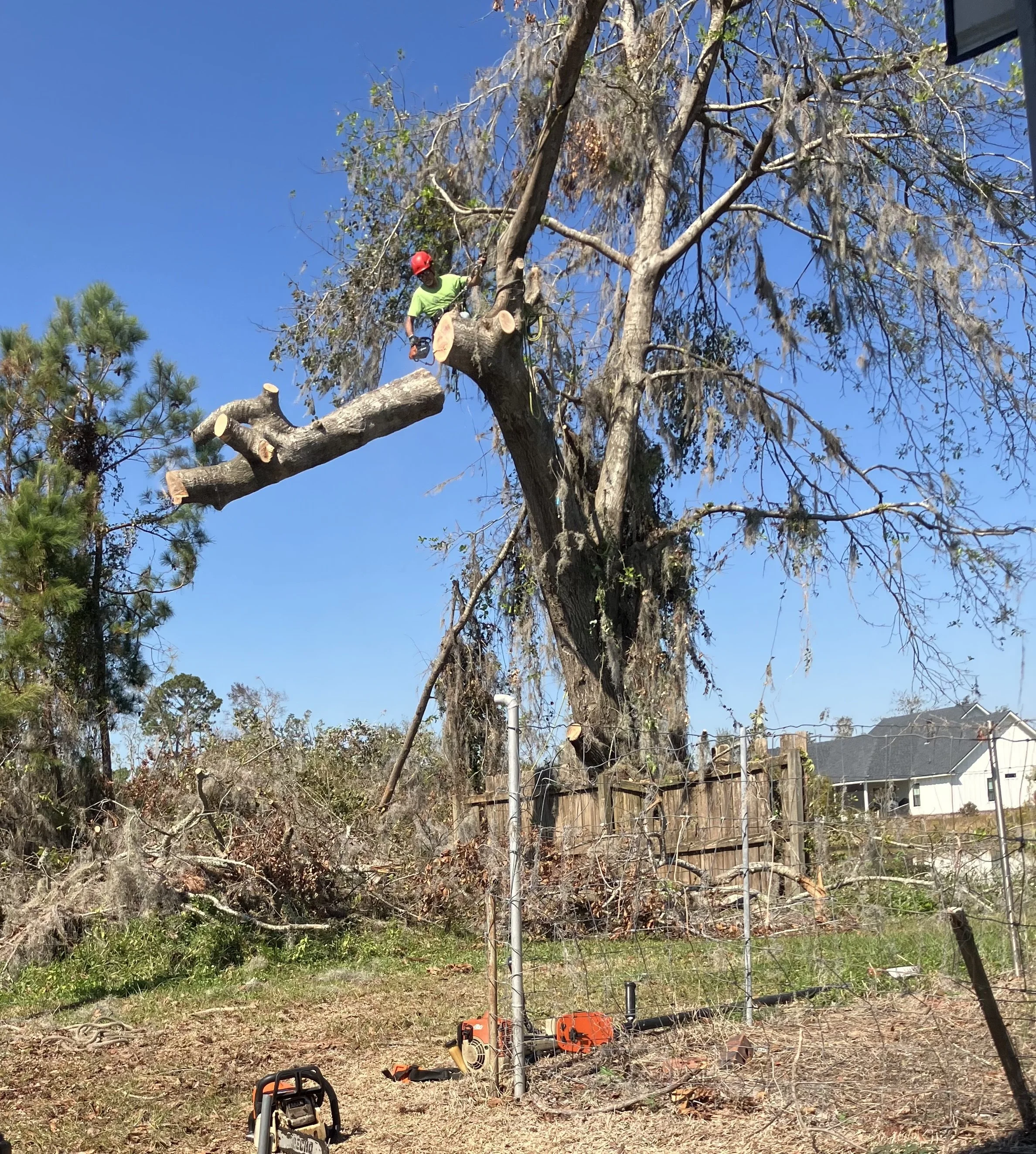 tree trimming gergia