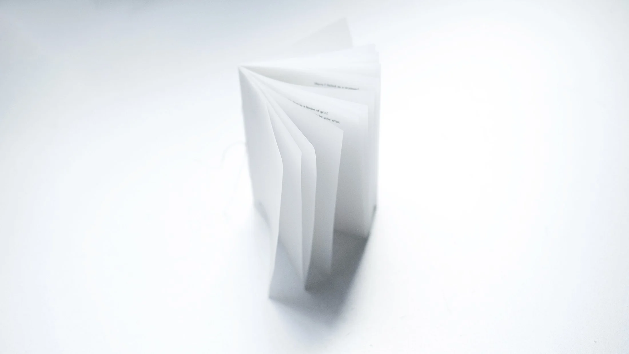 full transparency by Aphrodite D. Photo: Aphrodite D.